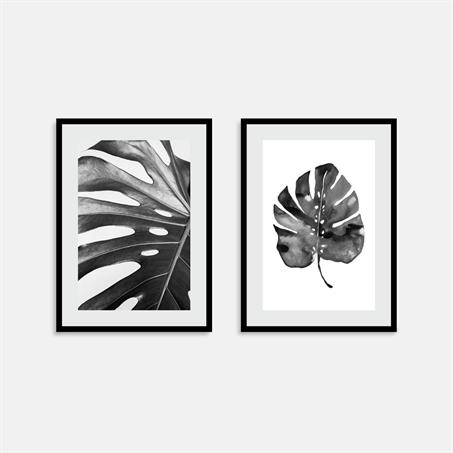  گالری تابلو دکوراتیو؛ برگ انجیری سیاه و سفید